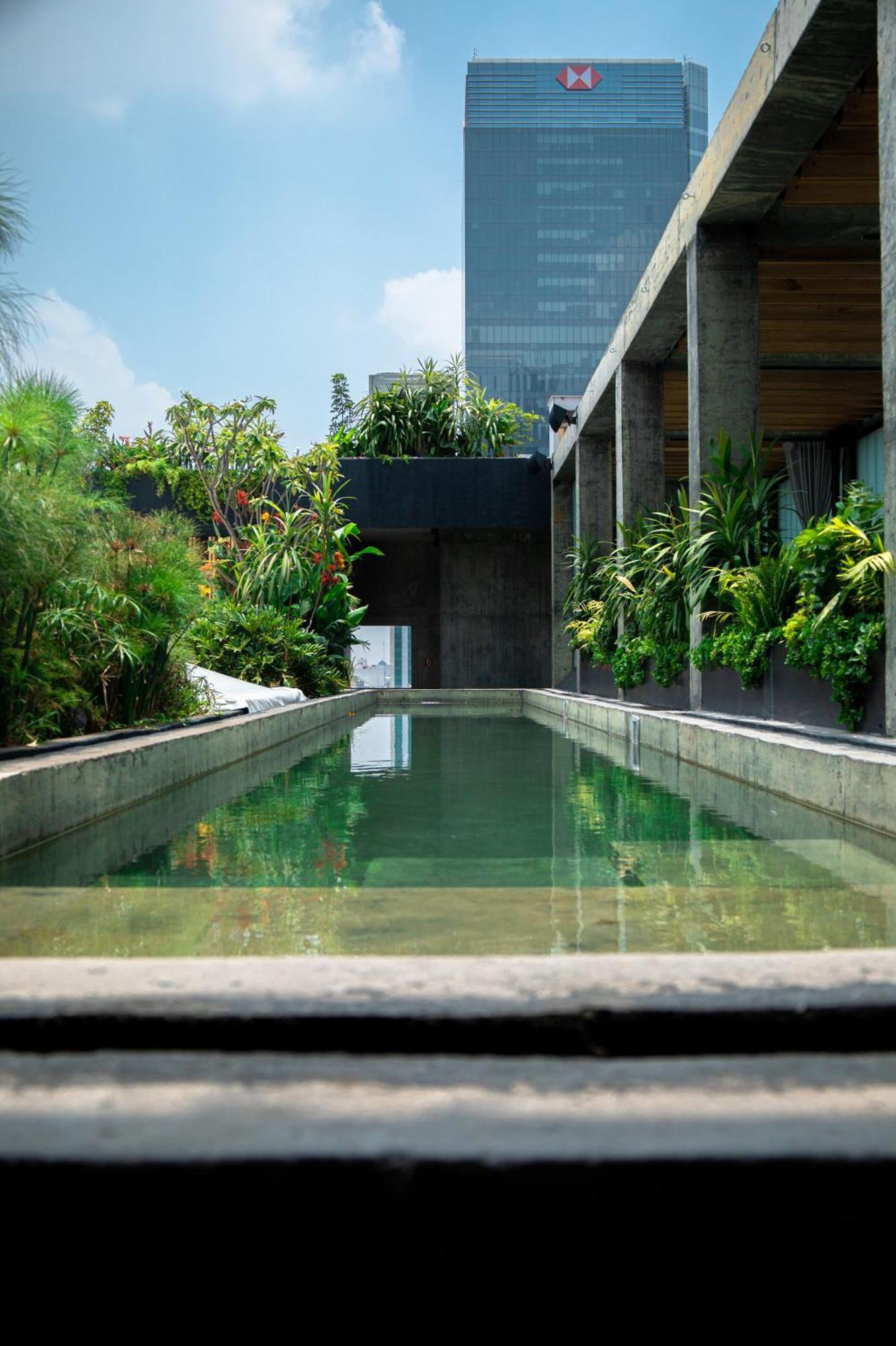 Hotel Volga México DF