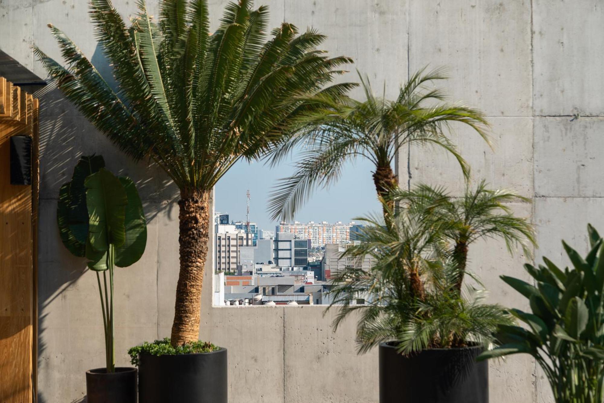 Hotel Volga México DF